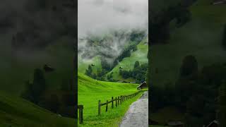 Beautiful view ✨🥀🌳🌴🏕️switzerland walensee msceuribia india japan [upl. by Huppert]