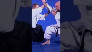 AIKIDO ROW FROM THE GROUND [upl. by Atteiram390]