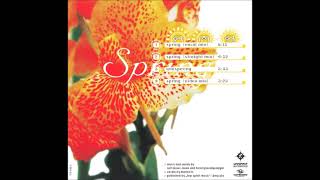 RMB  Spring 1996  Maxi CD All Tracks [upl. by Hornstein423]