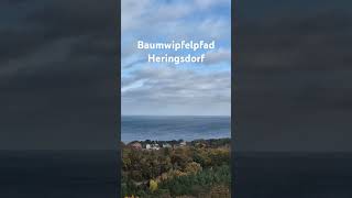 Baumwipfelpfad Heringsdorf [upl. by Brennen]