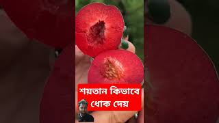 youtubeshorts shortvideo islamicshorts viralvideo fruit loveallahﷻ [upl. by Devi]