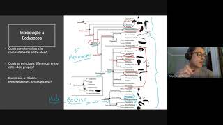 Introdução a Ecdysozoa [upl. by Edveh]