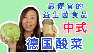 中式德国酸菜做法 最便宜而且健康的益生菌食品Chinese style sauerkraut cheapest and healthy probiotic food [upl. by Fernas333]