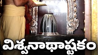 విశ్వనాథాష్టకం  Viswanathashtakam  Lord Shiva Songs  My3 Music [upl. by Tirrag]