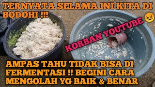 MENGOLAH AMPAS TAHU MENJADI PAKAN AYAM BERPROTEIN TINGGI  HEMAT BIAYA PAKAN SEUMUR HIDUP [upl. by Sterner122]