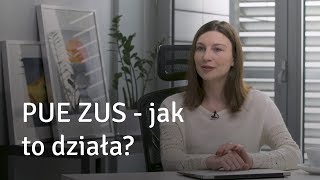 PUE ZUS  jak to działa [upl. by Odidnac]