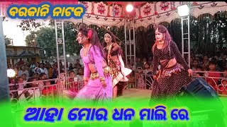 Aha mor dhan mali re sabalpuri sad song viral video Hskalakar143❣️❣️ [upl. by Ynitsed22]