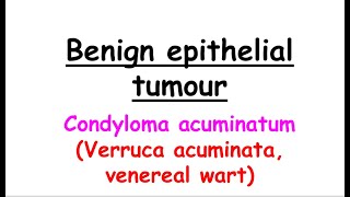 condyloma acuminatum English [upl. by Renat]