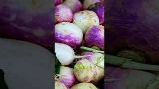 Why Turnip is the Ultimate Superfood for Your Health [upl. by Gerta]