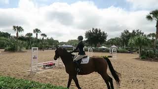 Equestrian Kimberden Show Jumping Video 3 of 4 [upl. by Ciryl673]