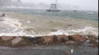 Surf at Ryders Cove Feb 13 2017 [upl. by Omixam424]