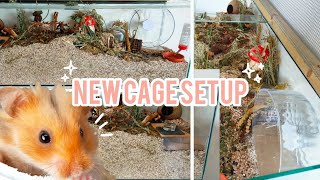 Upgrading HAMSTERs Natural Cage Setup  German Inspired Enclosure  Haul 🐹🍄🌿 [upl. by Bink]