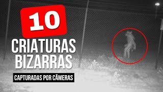 10 CRIATURAS MISTERIOSAS CAPTURADAS PELA CÂMERA mistériosocultos mistério bizzaro [upl. by Sonaj935]