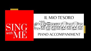 Il mio tesoro  Accompaniment  Don Ottavio  Mozart [upl. by Eimmas]