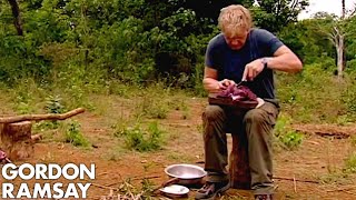 Gordon Ramsay Helps A Cambodian Tribe Butcher And Cook Buffalo  Gordons Great Escape [upl. by Shaefer407]