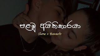 Palamu Ayithikaraya පළමු අයිතිකාරයා  Slow  Reverb supunzstudio [upl. by Arney597]