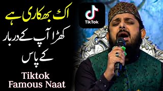 ik bhikari hai khara aap ke darbar ke paas Zohaib Ashrafi Naat  Tiktok famous naat sharif 2024 [upl. by Leik732]