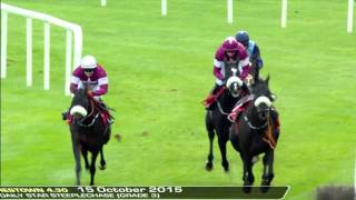 Punchestown highlights 15th October 2015 [upl. by Emirac]