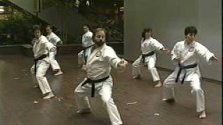 WashinRyu Karate Demo 1988 [upl. by Atteuqal]