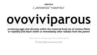 Pronunciation of Ovoviviparous  Definition of Ovoviviparous [upl. by Britton]