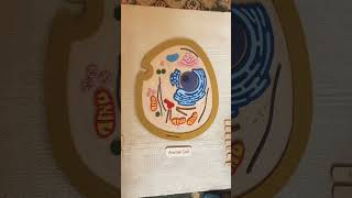 Montessori 2nd Great Lesson follow up Introduction to an animal cell montessori montessorischool [upl. by Evetta156]