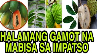 Gamot sa impatso [upl. by Ule]