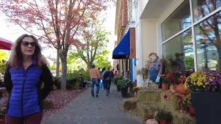 Niagara On The Lake Walking Tour  Ontario Canada [upl. by Ninnette]