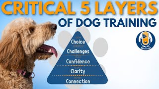 The 5 Critical Dog Training Layers for Confidence with Anything 21 [upl. by Ymot]