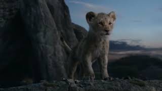 THE LiON KING MOVIE HINDI CLIP 3 Morning fun of simbha with his dadMUFASA [upl. by Sihonn]