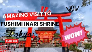 Visit to Fushimi Inari Shrine Kyoto  Japan Travel Vlog [upl. by Yenmor486]