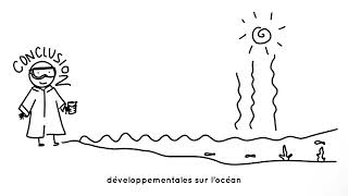 Le réchauffement climatique affecte t il l’acidification des océans [upl. by Rosamund]