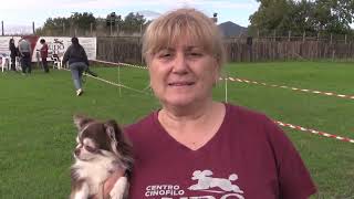 Trevignano Romano Trofeo Ludo Dog aperto a tutte le razze canine  Canale 10 [upl. by Aridatha209]