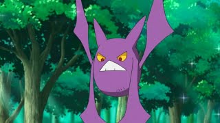 ZubatGolbat and Crobat all Attacks pokemon zubat golbat crobat all new attacks [upl. by Etnauj528]