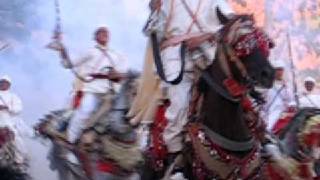 Fantasia cavalry charge in Morocco [upl. by Catherin584]