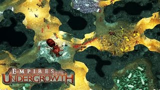 INVINCIBLE ANT ARMY Cant Be Stopped Empires of the Undergrowth Gameplay [upl. by Arty]