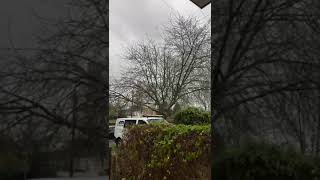 Wind and wind so windy in the UK shortsvideo windy short [upl. by Selina]