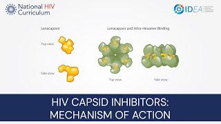 MiniLecture Series HIV Capsid Inhibitors Mechanism of Action [upl. by Ihcur750]