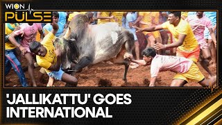 Jallikattu Goes Global Sri Lanka hosts event on January 6th  WION [upl. by Ahsemed715]