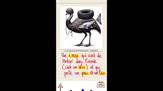 Le pluriel des mots qui se termine par quoteuquot [upl. by Eiuqnimod711]