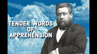 Tender Words of Terrible Apprehension  Charles Spurgeon Sermon CH Spurgeon  Audiobook  Warn [upl. by Elleinahc]