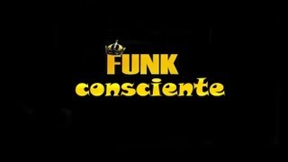 AS MELHORES DO FUNK CONSCIENTE 200920102011201220132014 LANÇAMENTOS [upl. by Ainattirb]