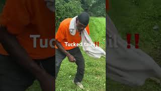 Crack heads at work in Detroit 😭🤦🏽‍♂️ pt2 detroit funny olympics comedy unkslawncare lawn [upl. by Akinar523]