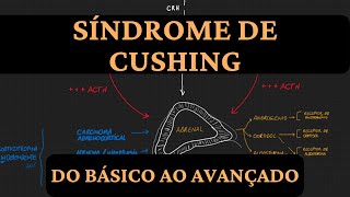 Síndrome de Cushing  do básico ao avançado [upl. by Eenet179]