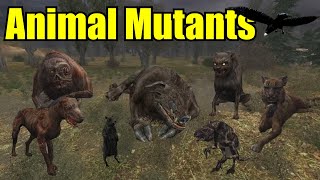 STALKER ALL Monsters amp Creatures Explained 1  Animal Mutants [upl. by Elahcar513]