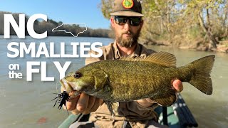 Fly Fishing for Fall Smallmouth in NC  Tips and Tactics [upl. by Ariahaj]