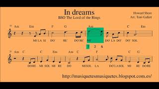 In dreams BSO El Señor de los anillos Partitura flauta  playalong C instruments [upl. by Haiel347]