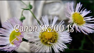 Canon SX200 IS Macro Photos [upl. by Kucik]