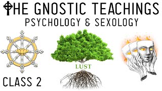 Awakening Gnosis Esoteric Psychology Sexology amp Past Lives Lesson 2 [upl. by Aivatnuahs930]