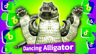 Dancing Alligator Youre not a dancing alligator [upl. by Newhall101]