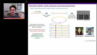 Sequencing SingleStrand Mismatch and Damage Patterns by LongRead Sequencing [upl. by Rybma524]